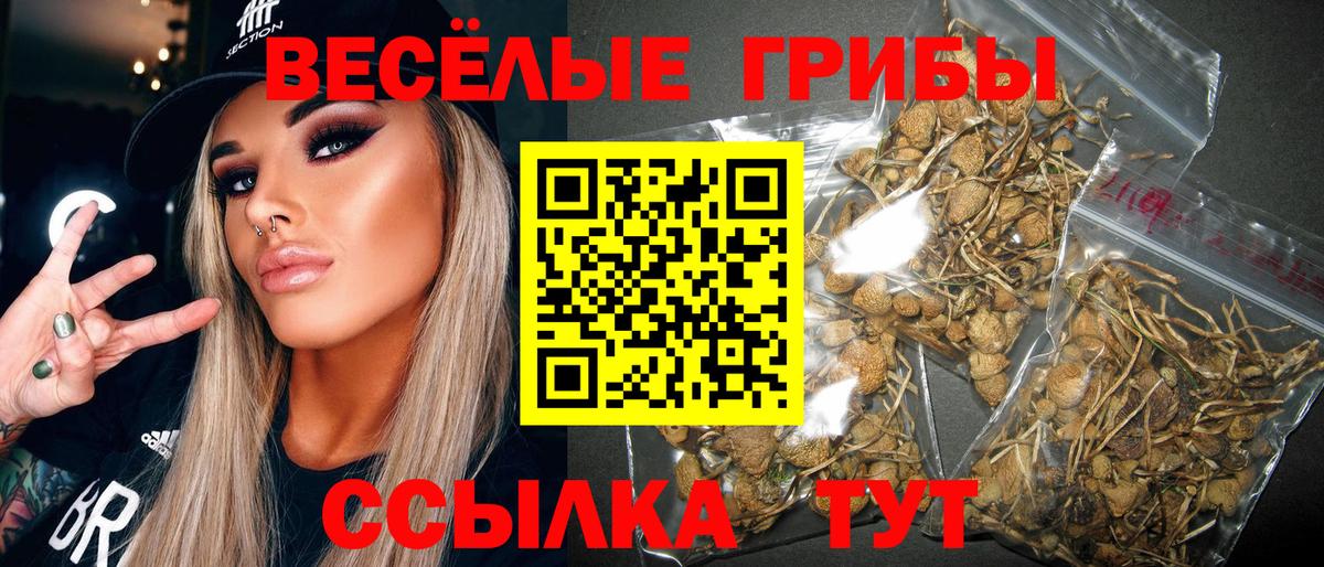 Псилоцибиновые грибы ЛСД Будённовск